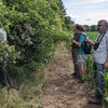 měření přístrojem MultispeQ v křižanovickém biokoridoru